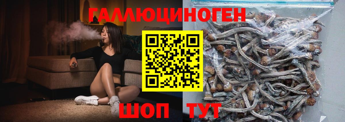 Галлюциногенные грибы MAGIC MUSHROOMS  Вход с VPN  Пятигорск 
